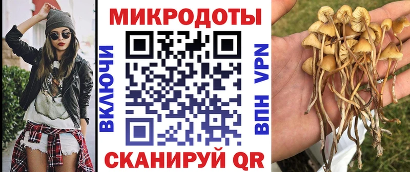 Галлюциногенные грибы мухоморы Азов